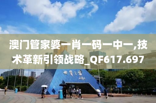 澳门管家婆一肖一码一中一,技术革新引领战略_QF617.697