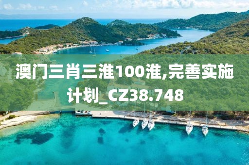 澳门三肖三淮100淮,完善实施计划_CZ38.748