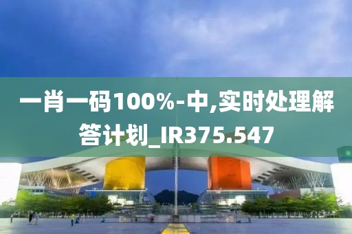 一肖一码100%-中,实时处理解答计划_IR375.547