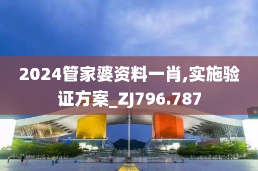 2024管家婆资料一肖,实施验证方案_ZJ796.787