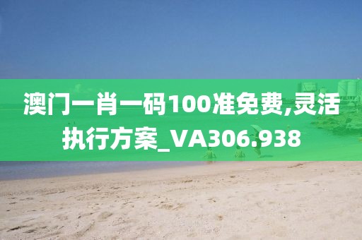 澳门一肖一码100准免费,灵活执行方案_VA306.938