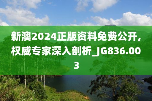 新澳2024正版资料免费公开,权威专家深入剖析_JG836.003