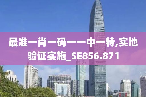 最准一肖一码一一中一特,实地验证实施_SE856.871
