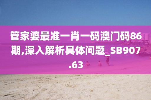管家婆最准一肖一码澳门码86期,深入解析具体问题_SB907.63