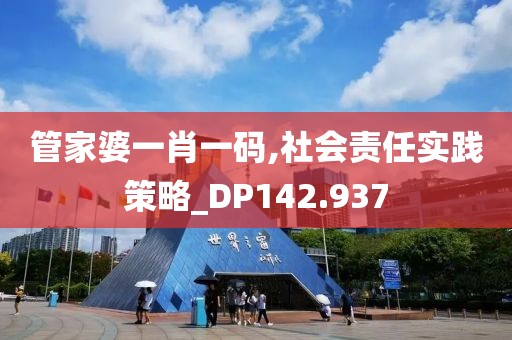 管家婆一肖一码,社会责任实践策略_DP142.937