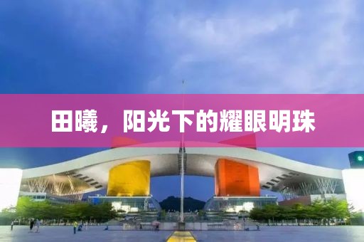 田曦，阳光下的耀眼明珠