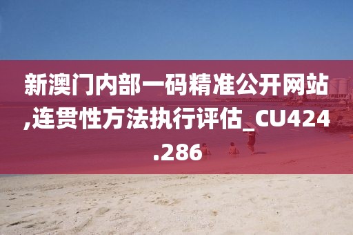 新澳门内部一码精准公开网站,连贯性方法执行评估_CU424.286