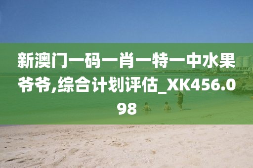 新澳门一码一肖一特一中水果爷爷,综合计划评估_XK456.098