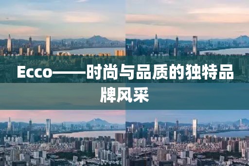 Ecco——时尚与品质的独特品牌风采