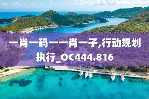 一肖一码一一肖一子,行动规划执行_OC444.816