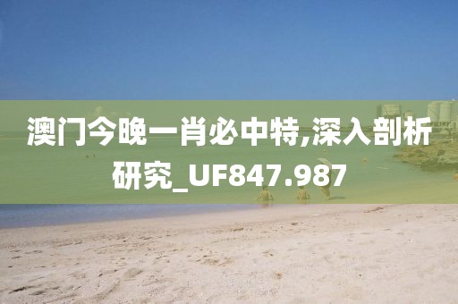 澳门今晚一肖必中特,深入剖析研究_UF847.987