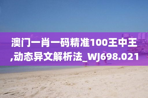 澳门一肖一码精准100王中王,动态异文解析法_WJ698.021