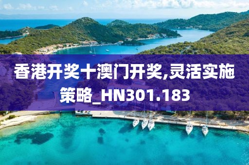 香港开奖十澳门开奖,灵活实施策略_HN301.183