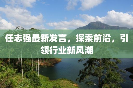 任志强最新发言，探索前沿，引领行业新风潮