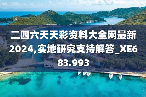 二四六天天彩资料大全网最新2024,实地研究支持解答_XE683.993