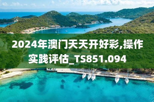2024年澳门天天开好彩,操作实践评估_TS851.094