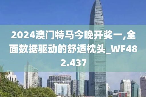 2024澳门特马今晚开奖一,全面数据驱动的舒适枕头_WF482.437