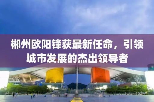 郴州欧阳锋获最新任命，引领城市发展的杰出领导者