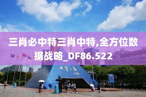 三肖必中特三肖中特,全方位数据战略_DF86.522