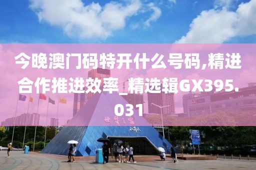 今晚澳门码特开什么号码,精进合作推进效率_精选辑GX395.031