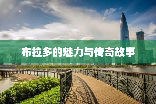 布拉多的魅力与传奇故事