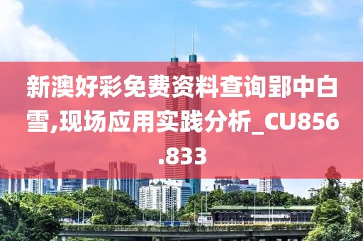 新澳好彩免费资料查询郢中白雪,现场应用实践分析_CU856.833
