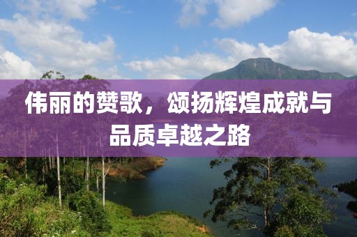 伟丽的赞歌，颂扬辉煌成就与品质卓越之路