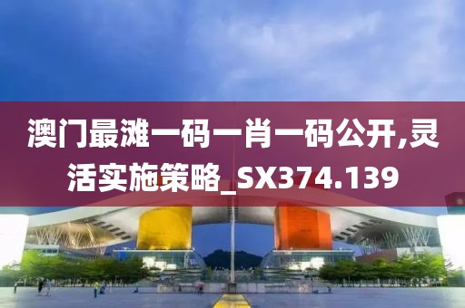 澳门最滩一码一肖一码公开,灵活实施策略_SX374.139