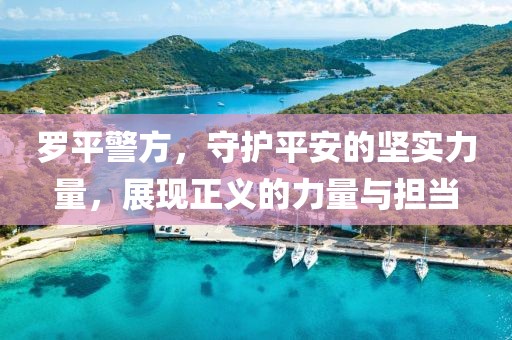 罗平警方，守护平安的坚实力量，展现正义的力量与担当