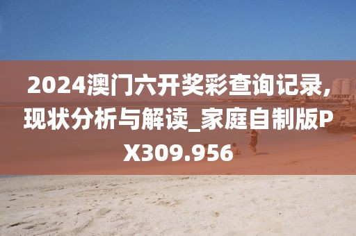 2024澳门六开奖彩查询记录,现状分析与解读_家庭自制版PX309.956