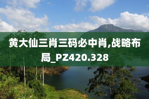黄大仙三肖三码必中肖,战略布局_PZ420.328