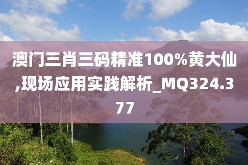 澳门三肖三码精准100%黄大仙,现场应用实践解析_MQ324.377