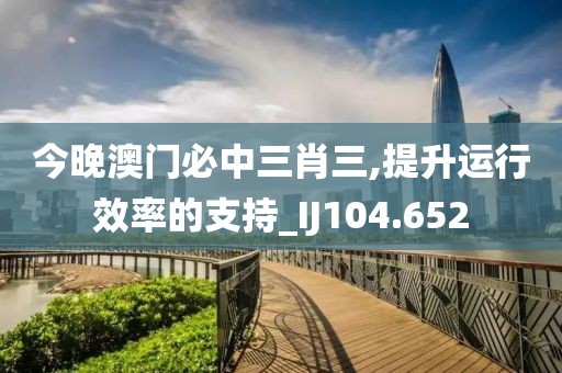 今晚澳门必中三肖三,提升运行效率的支持_IJ104.652