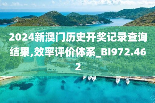 2024新澳门历史开奖记录查询结果,效率评价体系_BI972.462