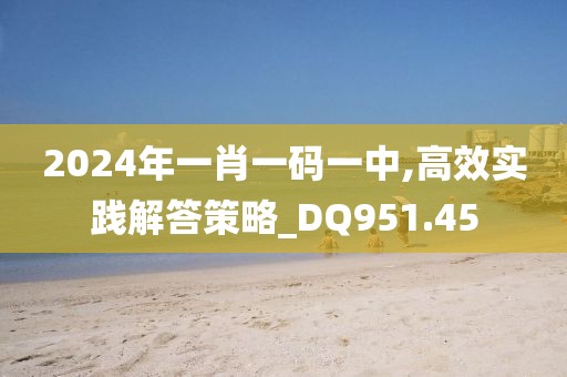 2024年一肖一码一中,高效实践解答策略_DQ951.45