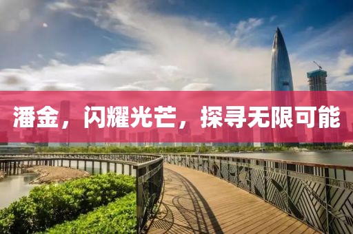 潘金，闪耀光芒，探寻无限可能