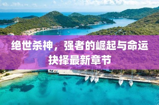 绝世杀神，强者的崛起与命运抉择最新章节