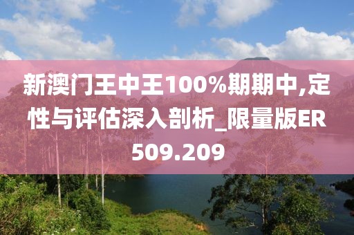新澳门王中王100%期期中,定性与评估深入剖析_限量版ER509.209