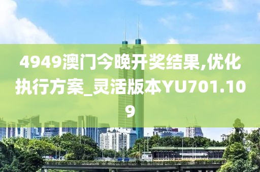 4949澳门今晚开奖结果,优化执行方案_灵活版本YU701.109