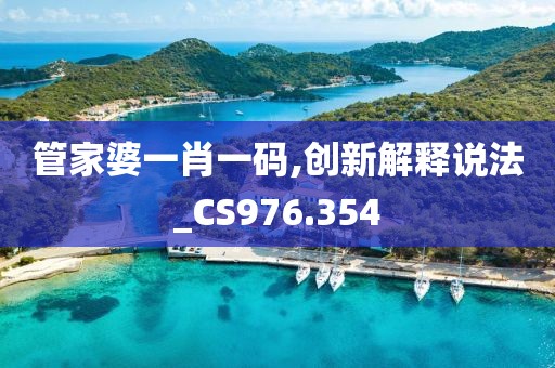 管家婆一肖一码,创新解释说法_CS976.354