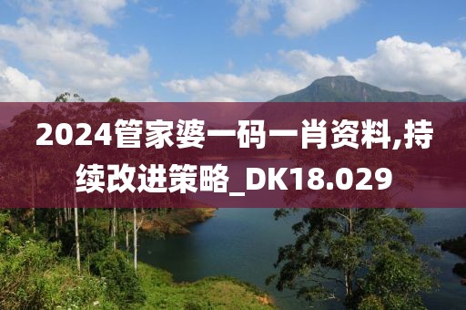 2024管家婆一码一肖资料,持续改进策略_DK18.029