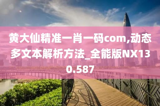 黄大仙精准一肖一码com,动态多文本解析方法_全能版NX130.587