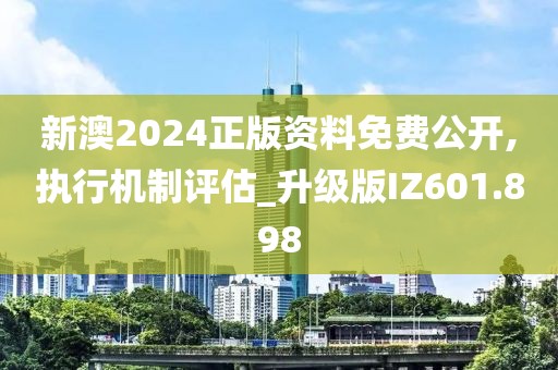 新澳2024正版资料免费公开,执行机制评估_升级版IZ601.898