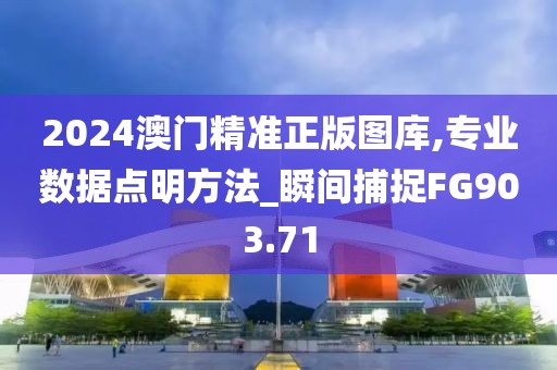 2024澳门精准正版图库,专业数据点明方法_瞬间捕捉FG903.71
