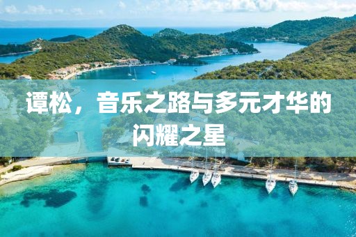 谭松，音乐之路与多元才华的闪耀之星