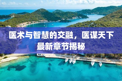 医术与智慧的交融，医谋天下最新章节揭秘