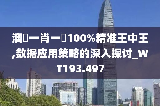 澳門一肖一碼100%精准王中王,数据应用策略的深入探讨_WT193.497