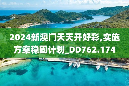 2024新澳门天天开好彩,实施方案稳固计划_DD762.174