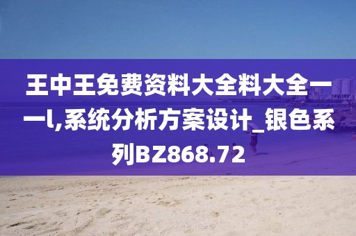王中王免费资料大全料大全一一l,系统分析方案设计_银色系列BZ868.72