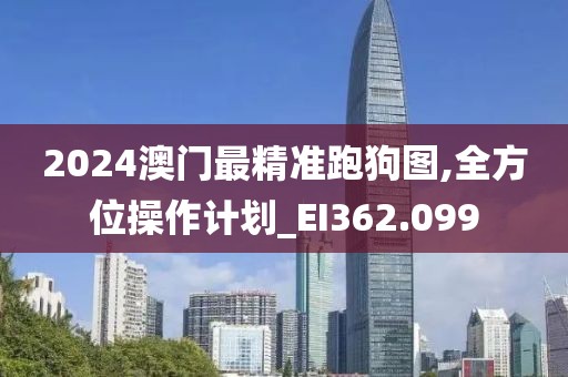 2024澳门最精准跑狗图,全方位操作计划_EI362.099